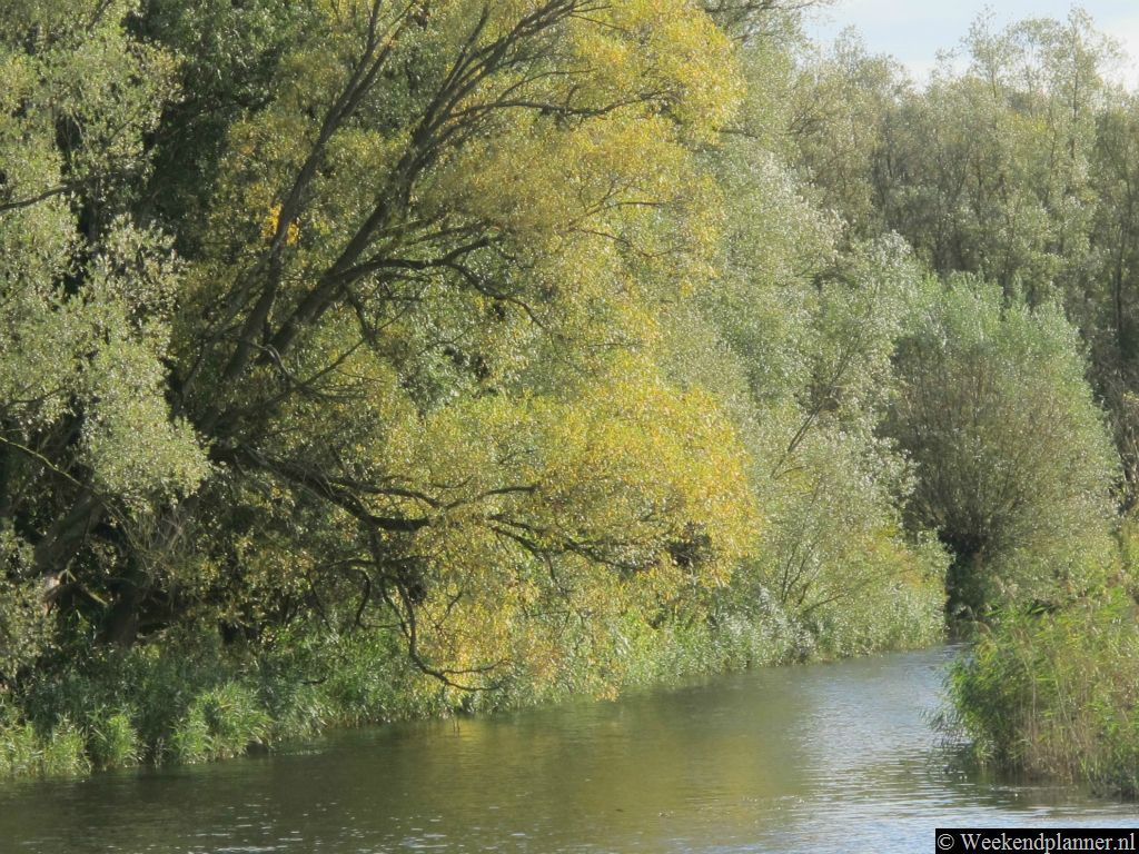 Dit soort kreken kun je alleen met een kano, kajak of motorbootje verkennen.Tip: Ga eens varen in je eigen rubberboot of opblaasbare kajak.